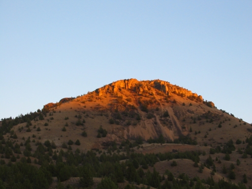 Click for original image