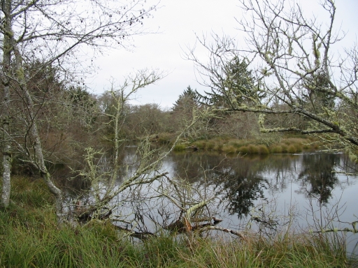 Click for original image