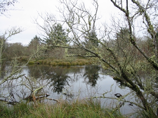 Click for original image