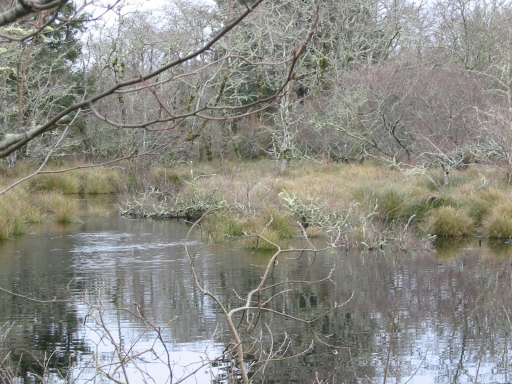 Click for original image