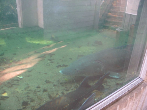 Click for original image