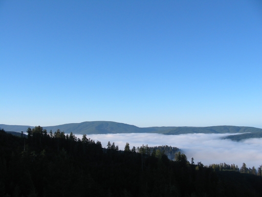 Click for original image