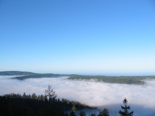 Click for original image