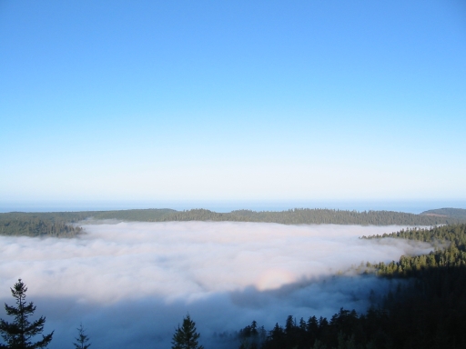 Click for original image