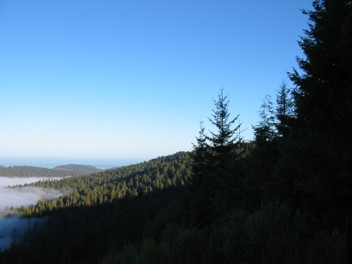 Click for original image