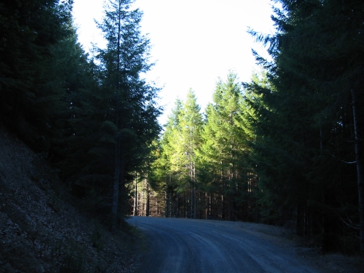 Click for original image