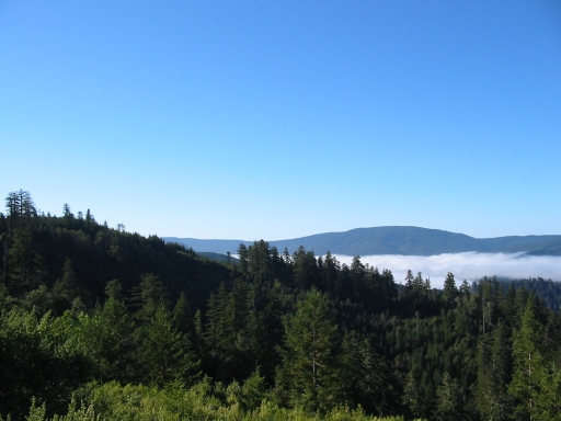 Click for original image