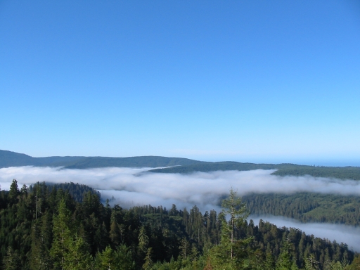 Click for original image