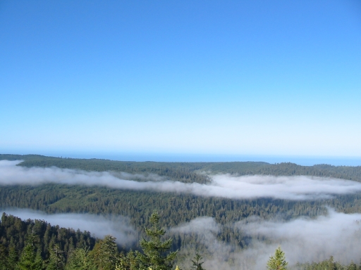 Click for original image