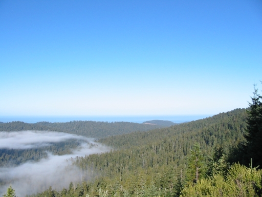 Click for original image