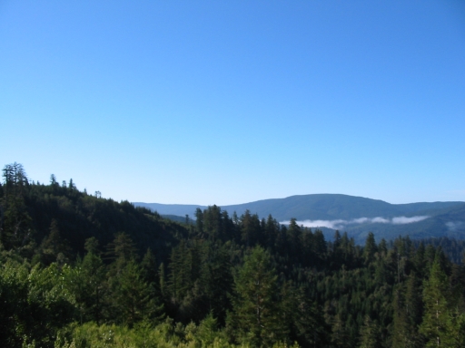 Click for original image