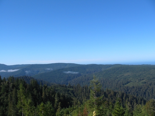 Click for original image