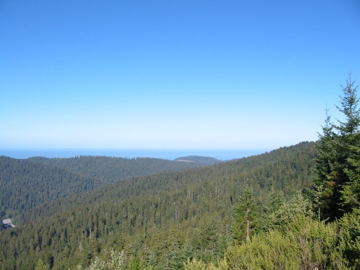 Click for original image