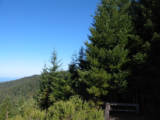 Click for original image