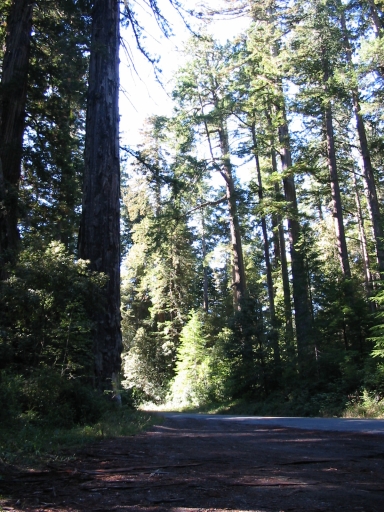 Click for original image