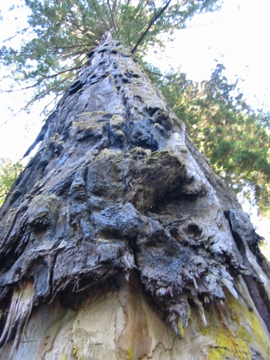 Click for original image