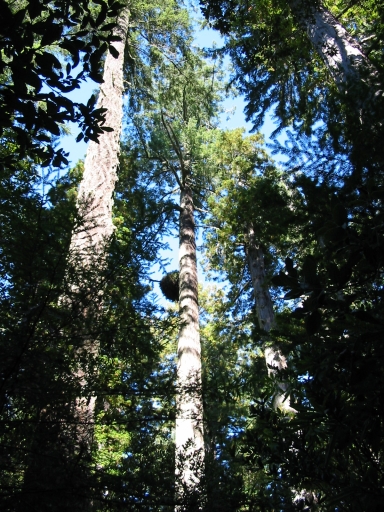 Click for original image