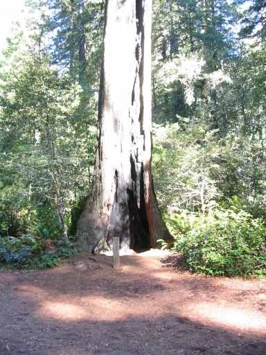 Click for original image