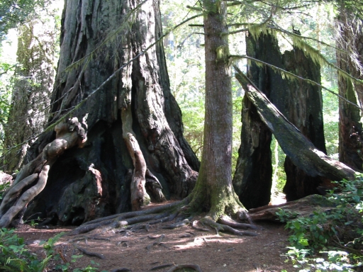 Click for original image