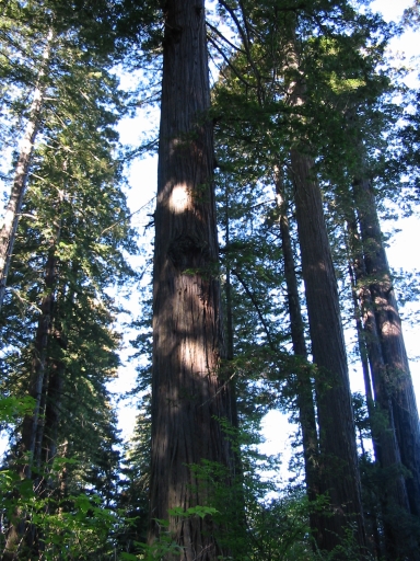 Click for original image