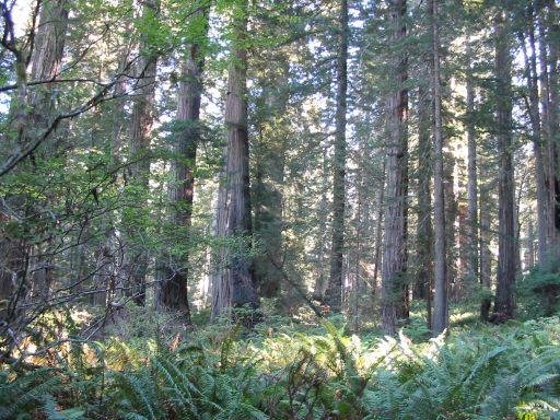 Click for original image