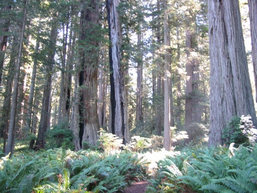 Click for original image