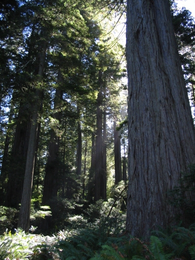 Click for original image