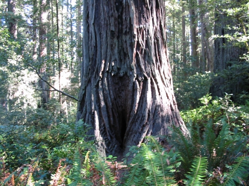 Click for original image