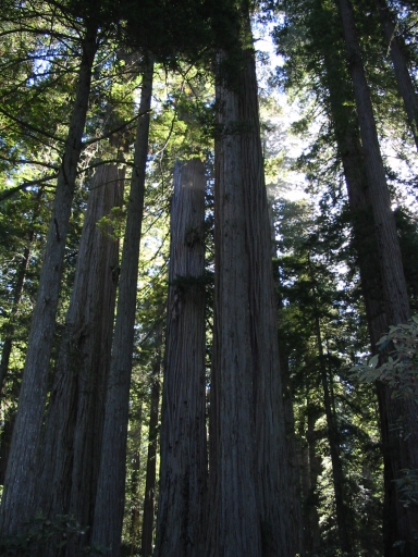 Click for original image