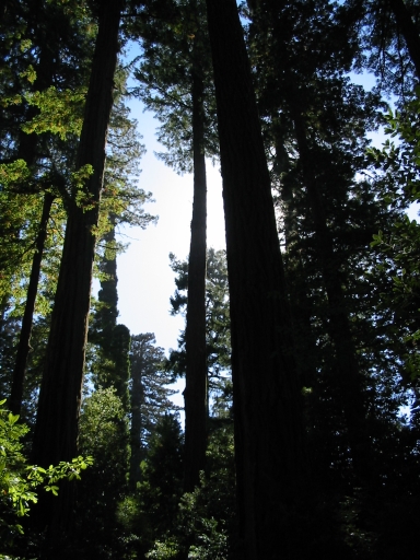 Click for original image