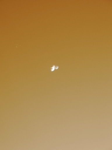 Click for original image