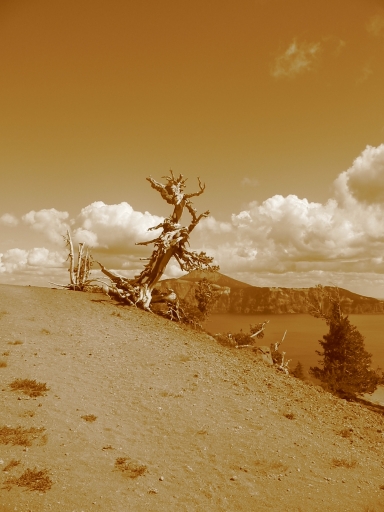 Click for original image