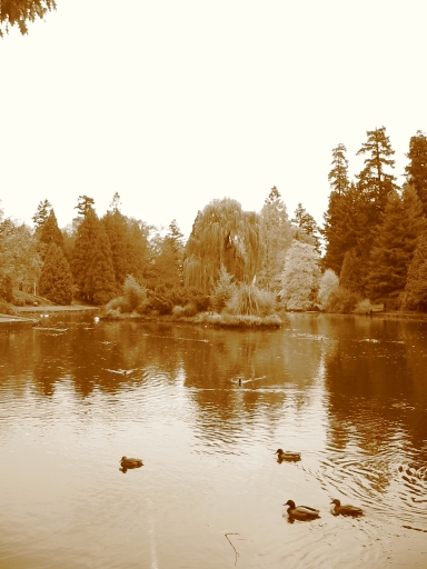 Click for original image