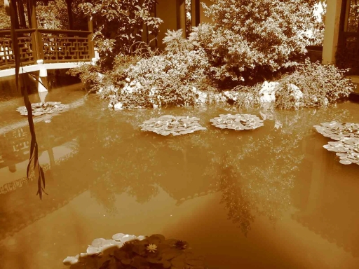 Click for original image