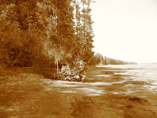 Click for original image