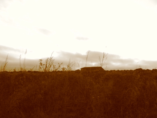 Click for original image