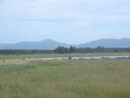 Click for original image