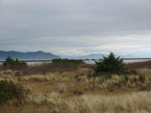 Click for original image