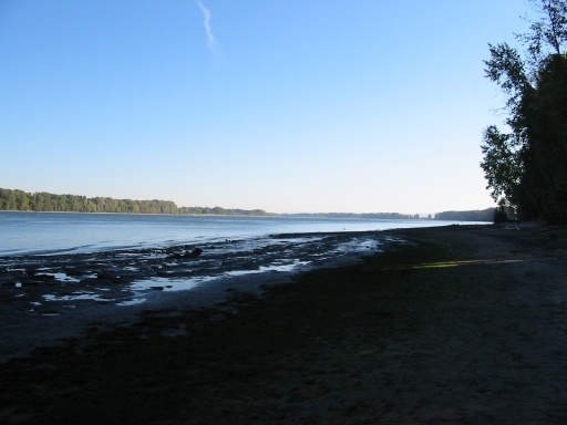 Click for original image