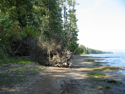 Click for original image