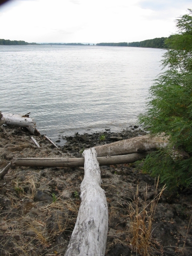 Click for original image