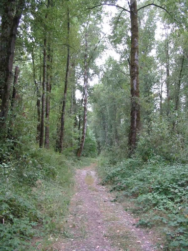 Click for original image