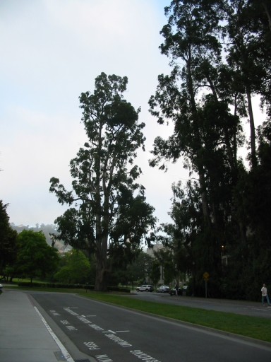 Click for original image