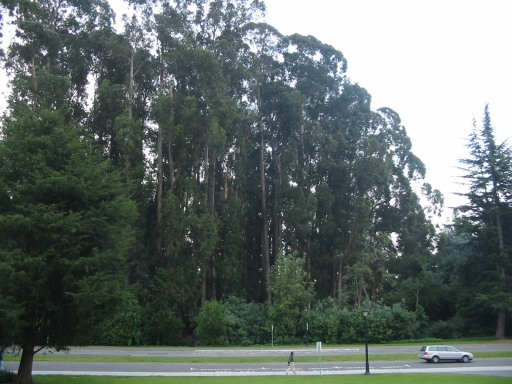 Click for original image