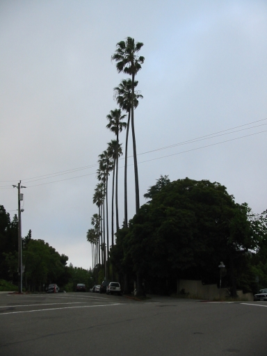 Click for original image