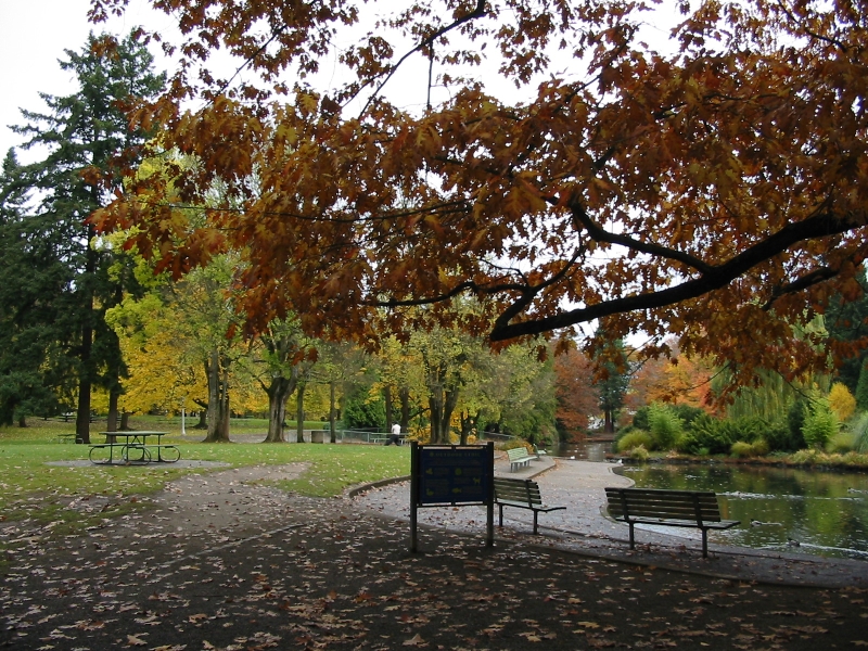 Click for original image