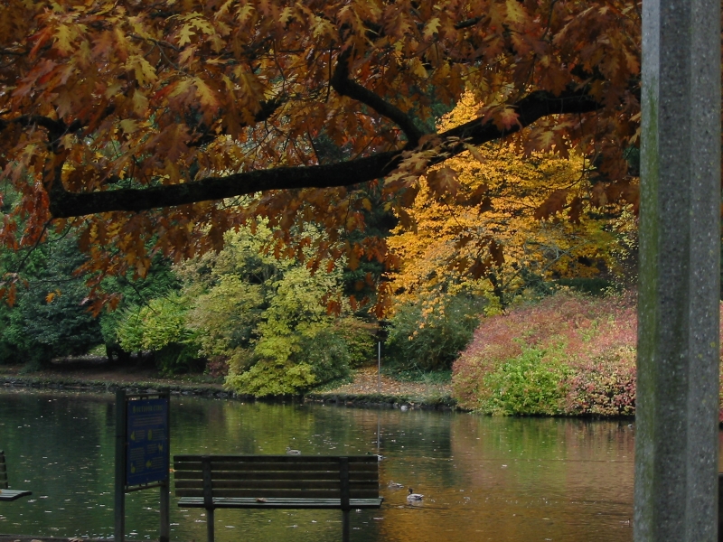 Click for original image