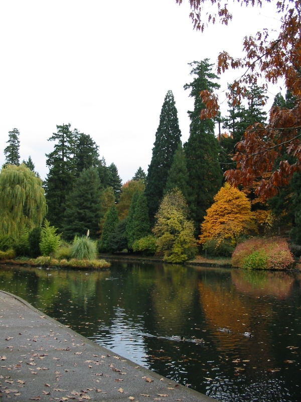 Click for original image