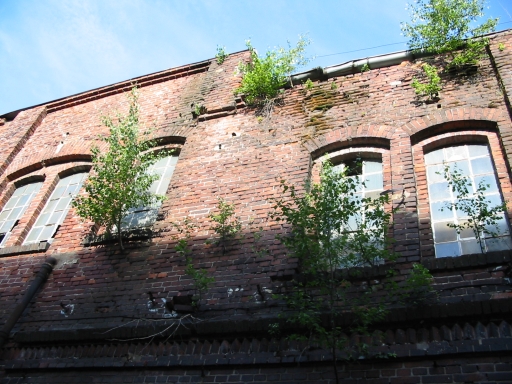 Click for original image