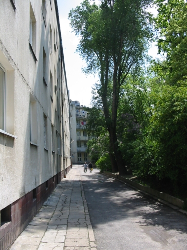 Click for original image